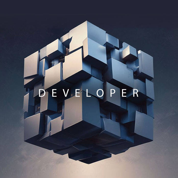pic11_developer