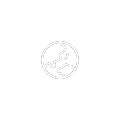 icon_B03_future
